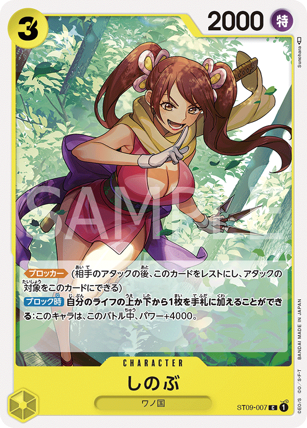 ST09-007 忍