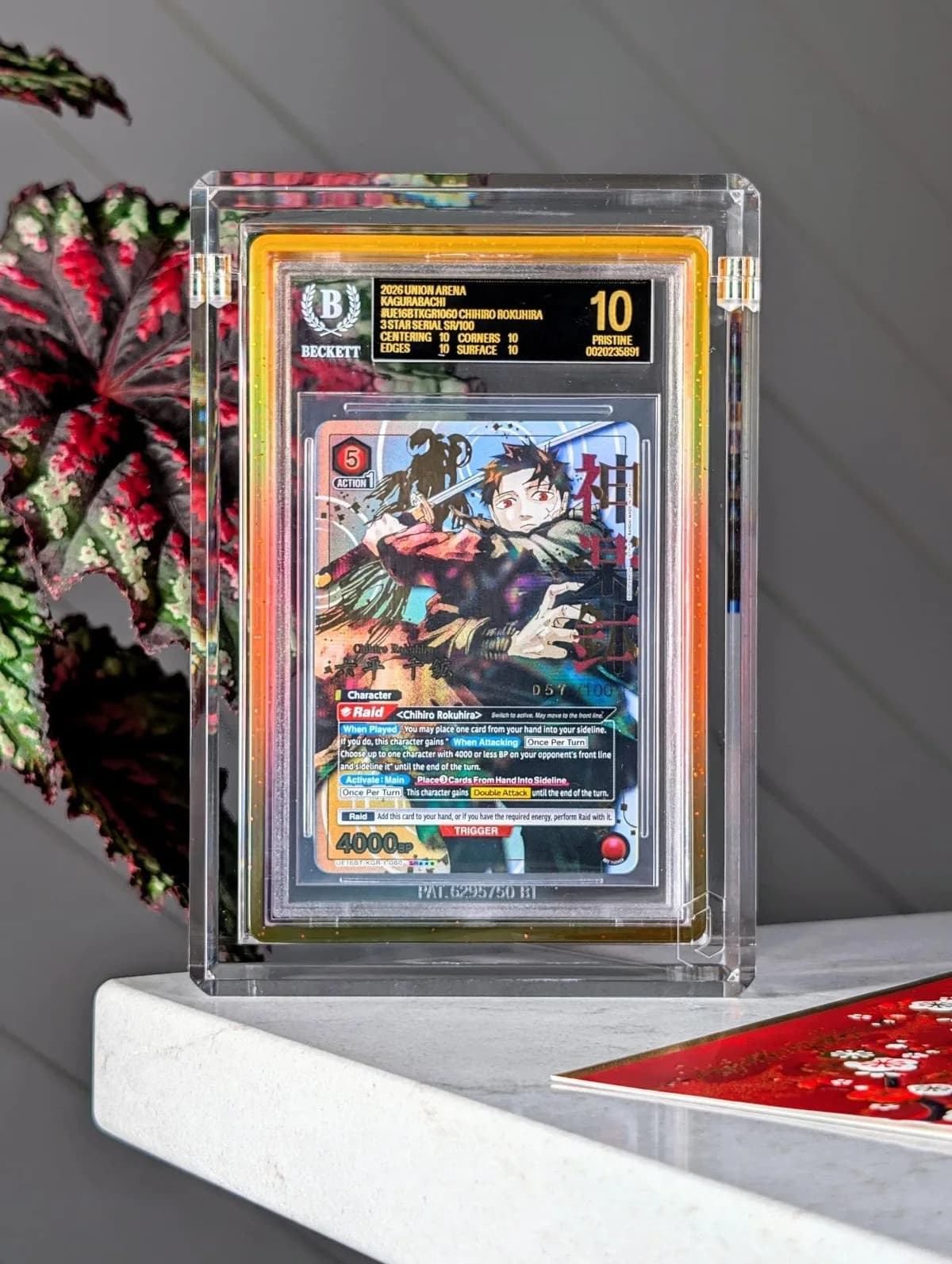 Chihiro | Serial 卡片獲得 BGS 10 黑標,市場熱度上升
